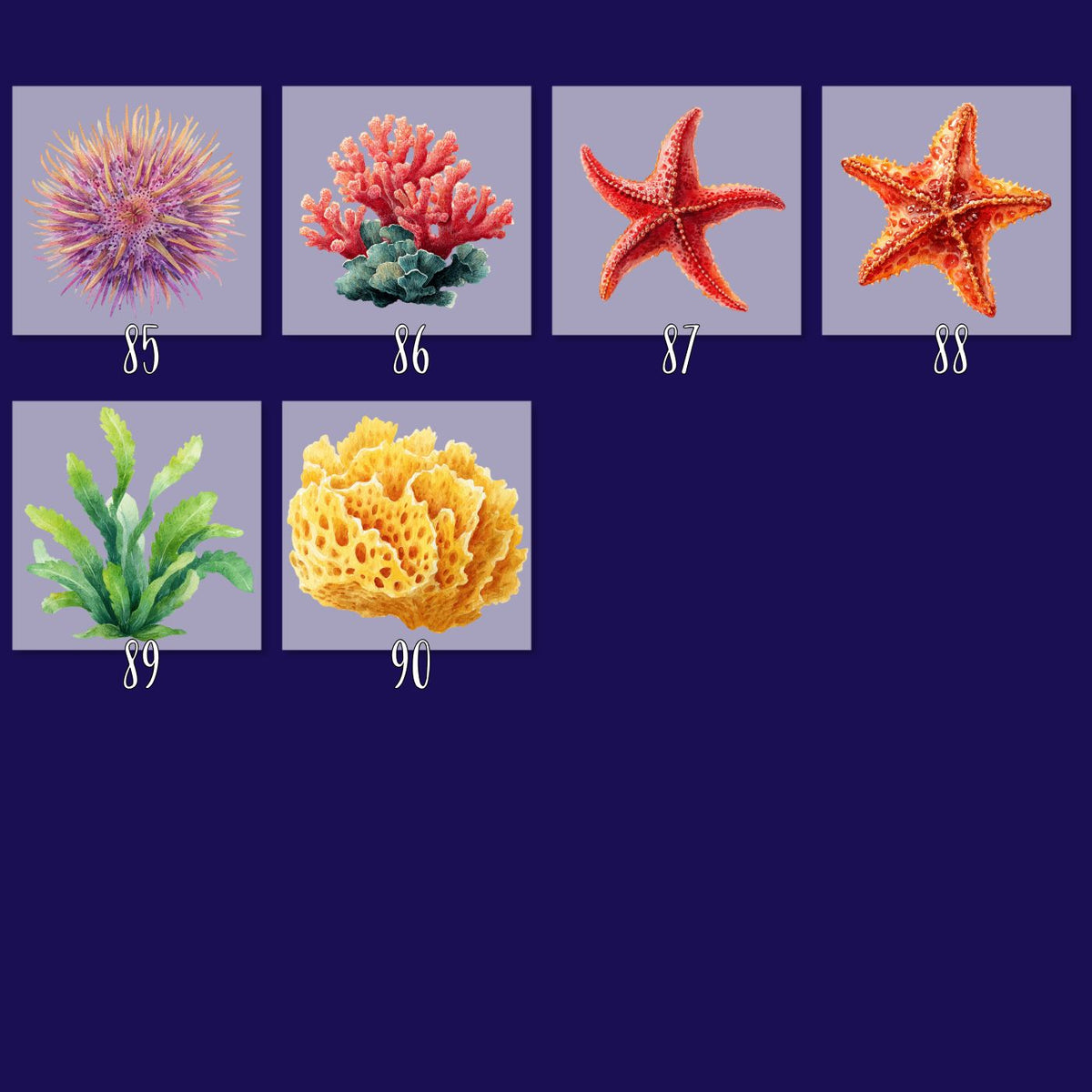Sea Life Bügelbilder - 90 Motive Meerestiere