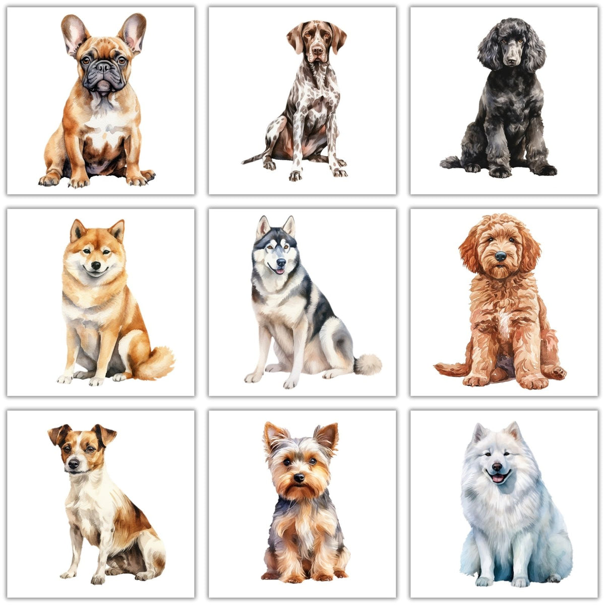 Hunderassen Bügelbilder, 103 Verschiedene Hunde